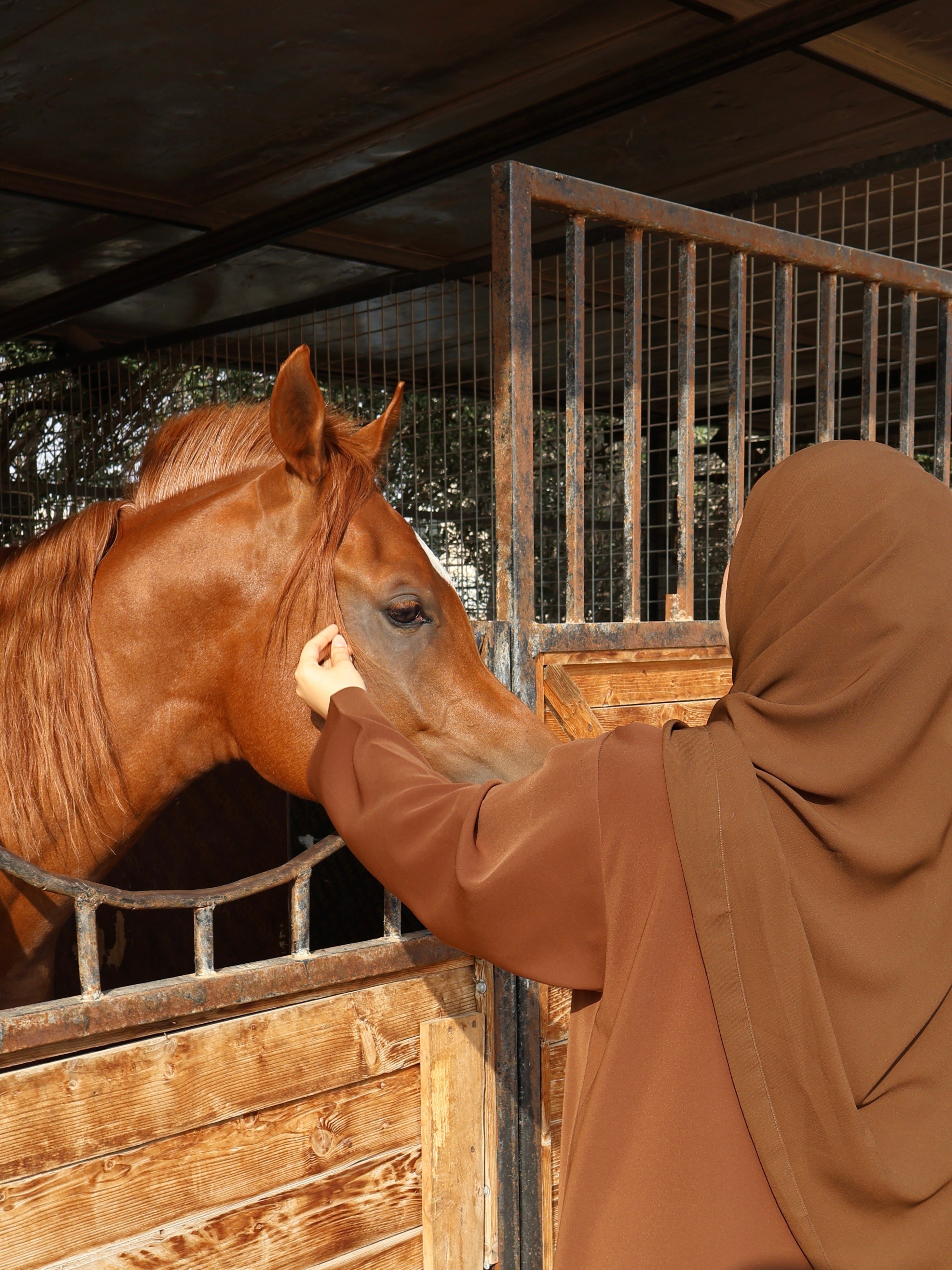 Arabian Desert Abaya