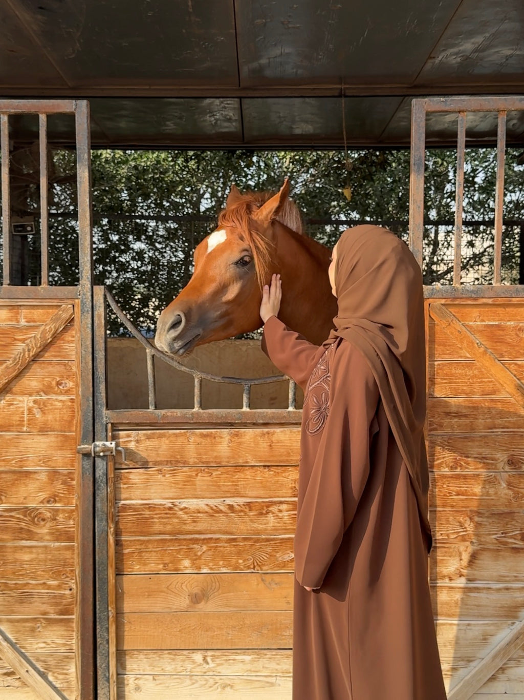 Arabian Desert Abaya