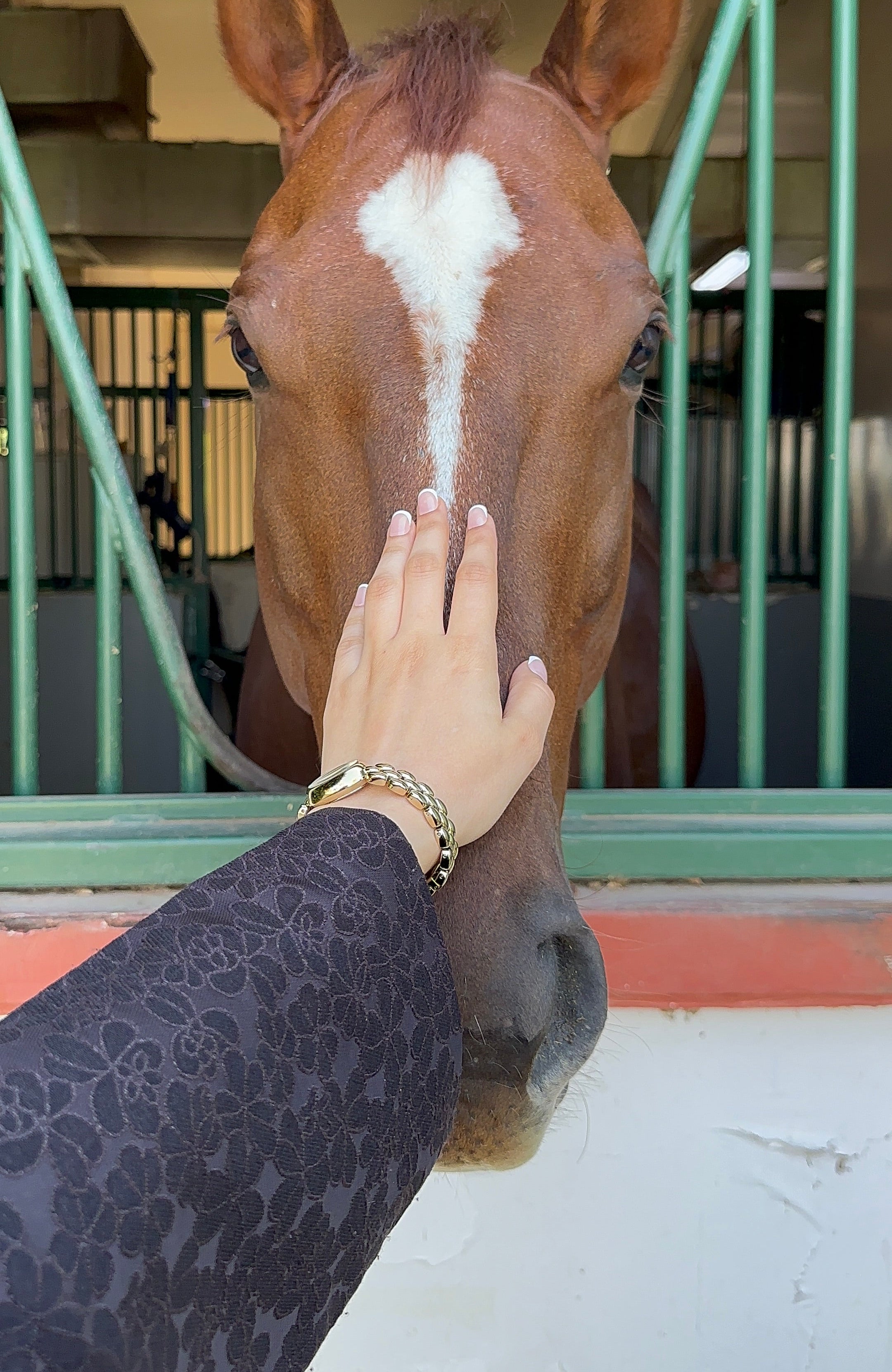Floral Eclipse Abaya